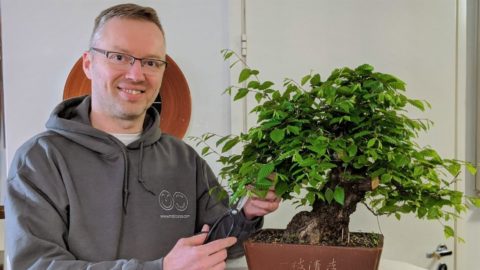 Vuoden testaaja