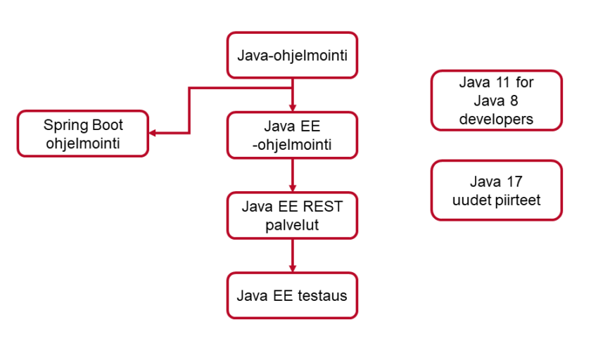 Java-koulutusten käyntikaavio