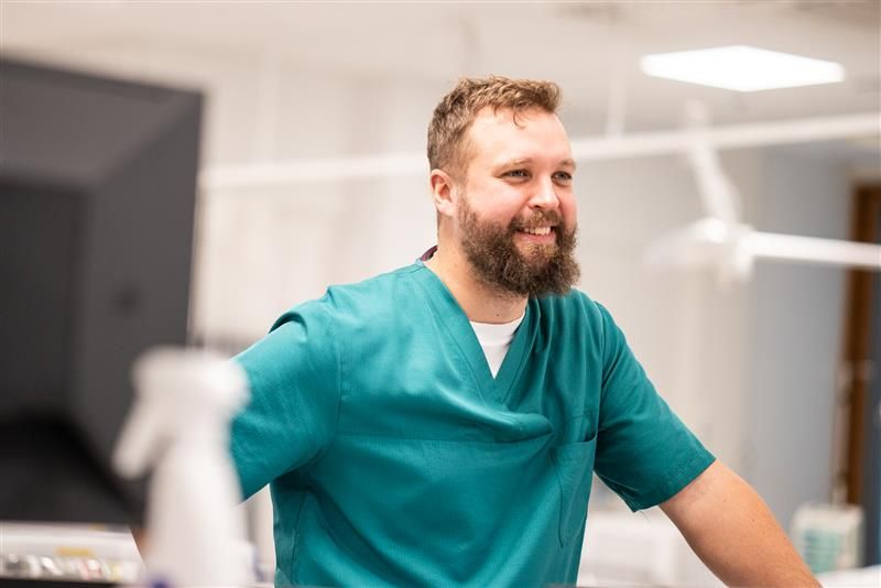 Robert Östman, Professio