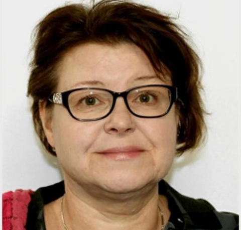 Sari Rantanen, Professio