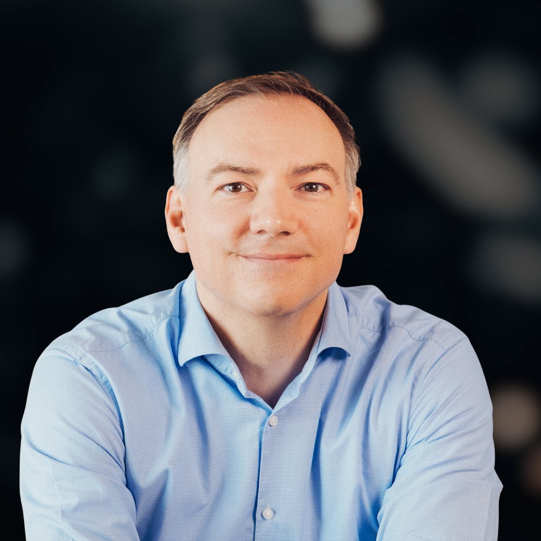 Dirk Schmidt, Professio