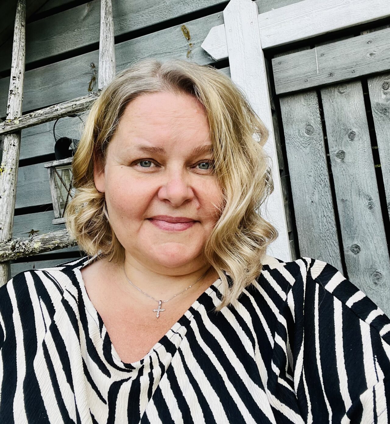Heidi Rentola, Professio